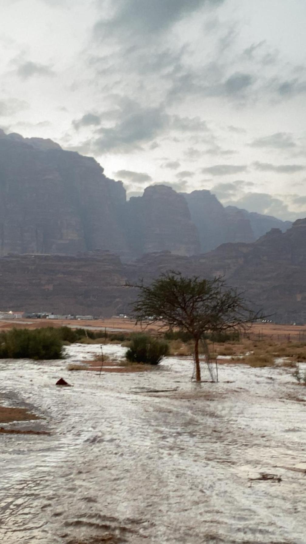 Wadirum Zeid Camp&Tours Wadi Rum Exterior photo